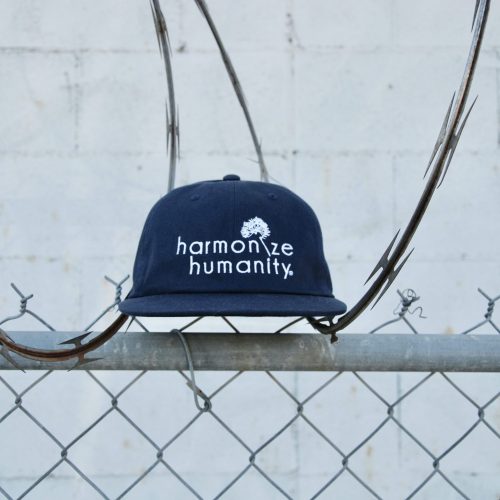 Hat on fence